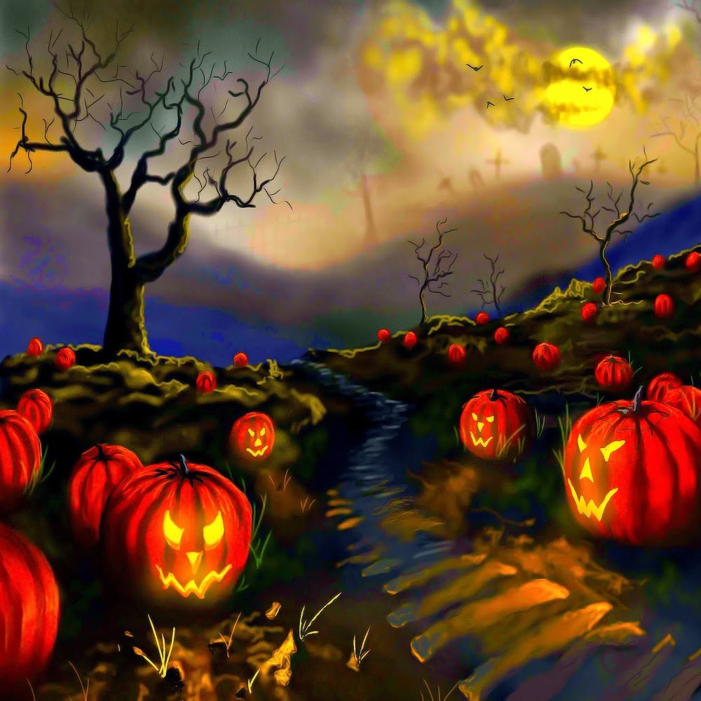 Meet your Posher, Katrina